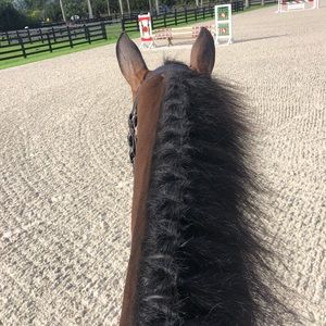 Meet your Posher, Kayla